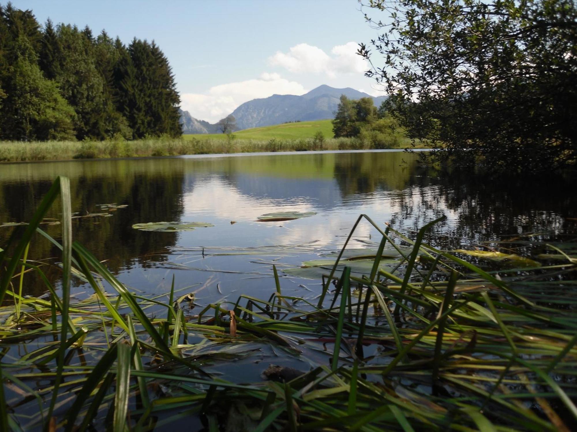 Ferienhof Margarethengut Unterach am Attersee Exterior foto