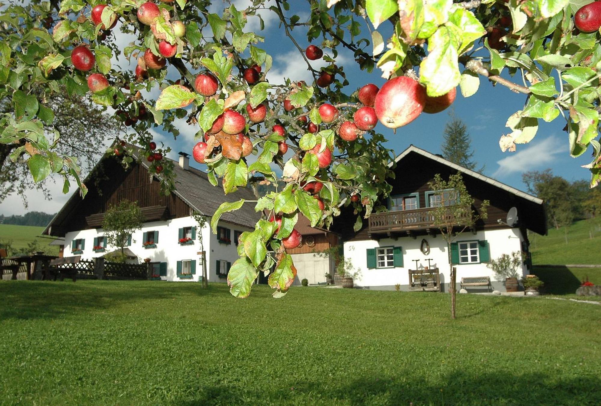 Ferienhof Margarethengut Unterach am Attersee Exterior foto