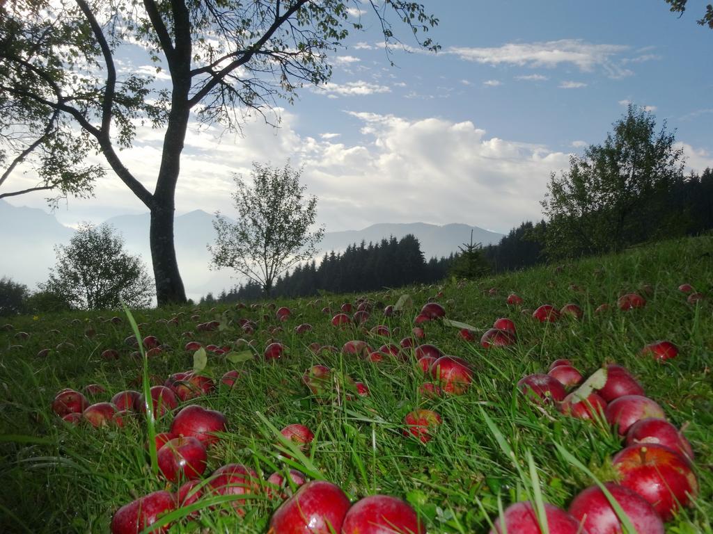 Ferienhof Margarethengut Unterach am Attersee Exterior foto