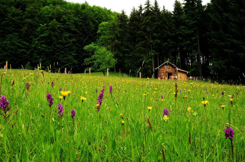 Ferienhof Margarethengut Unterach am Attersee Exterior foto